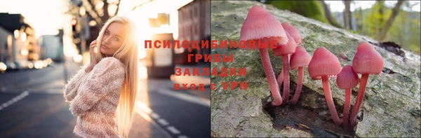 винт Ельня