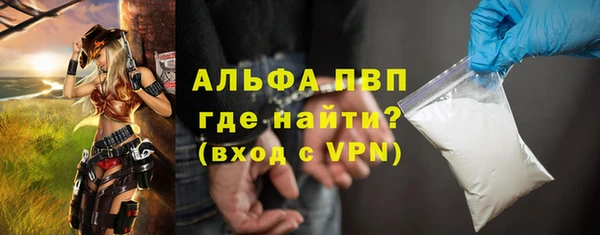 винт Ельня