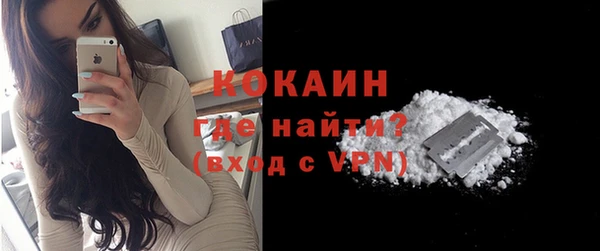 винт Ельня