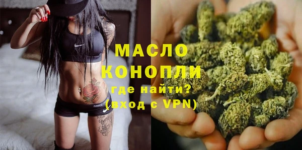 винт Ельня