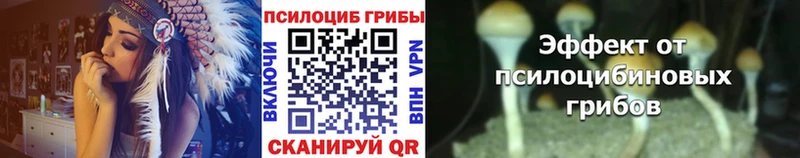 Псилоцибиновые грибы мухоморы  Купить  Кемь 